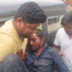 सिंगरौली: खेत जा रहे किसान पर भालू का हमला, गंभीर हालत में अस्पताल में भर्ती