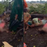 सिंगरौली में आसमानी कहर: आकाशीय बिजली गिरने से दो सगी बहनों की दर्दनाक मौत