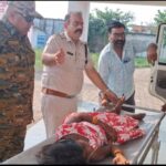 Singrauli News जियावन थाना प्रभारी डॉ ज्ञानेंद्र सिंह की तत्परता से बची 4 जिंदगियां हादसे के घायलों को निजी वाहन से पहुंचाया अस्पताल